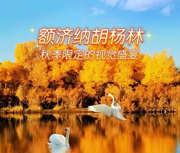 2024额济纳胡杨林秋季限定的视觉盛宴合集